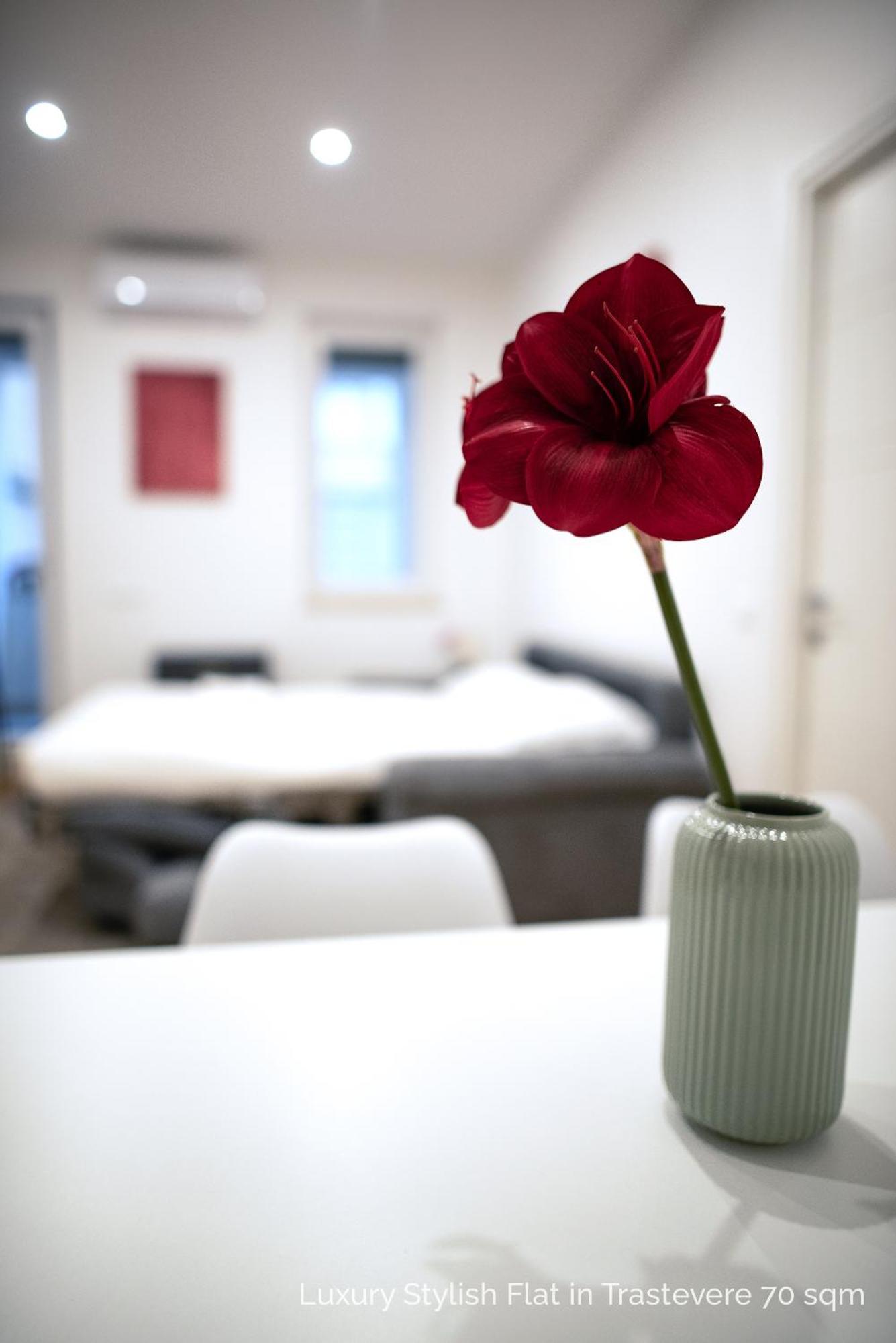 La Dolce Vita - Luxury Stylish Flats In Trastevere 70-90Sqm ローマ エクステリア 写真